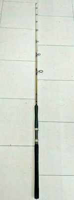 ugly stik bluewater 24kg